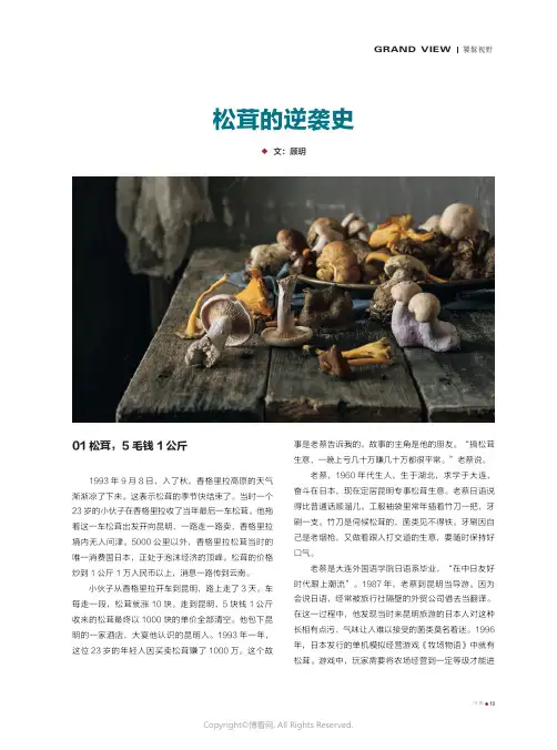 松茸的逆袭史