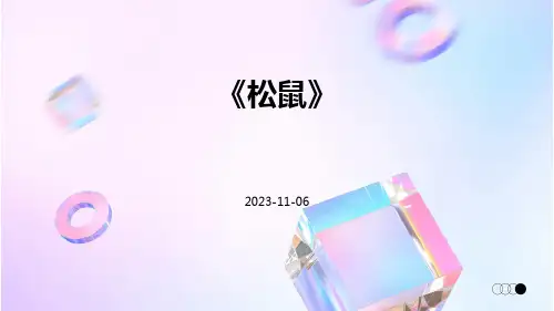 《松鼠》-精品文档