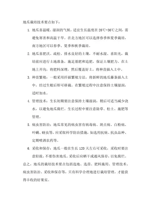 地瓜栽培技术要点