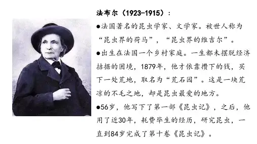 三下语文课外阅读 《蚂蚁——神奇的记忆专家》教学课件(完美版)
