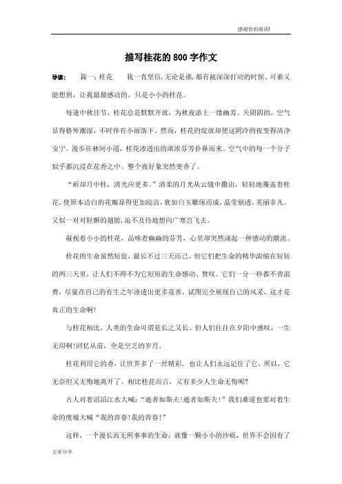 描写桂花的800字作文