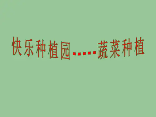 蔬菜种植小学四年级下册综合实践PPT课件