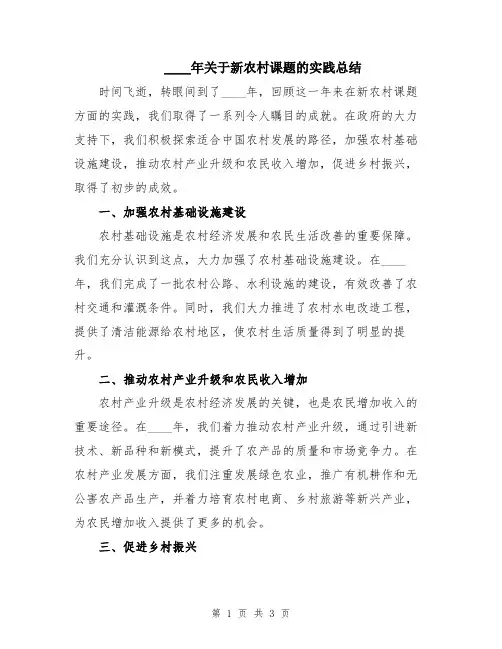 2024年关于新农村课题的实践总结