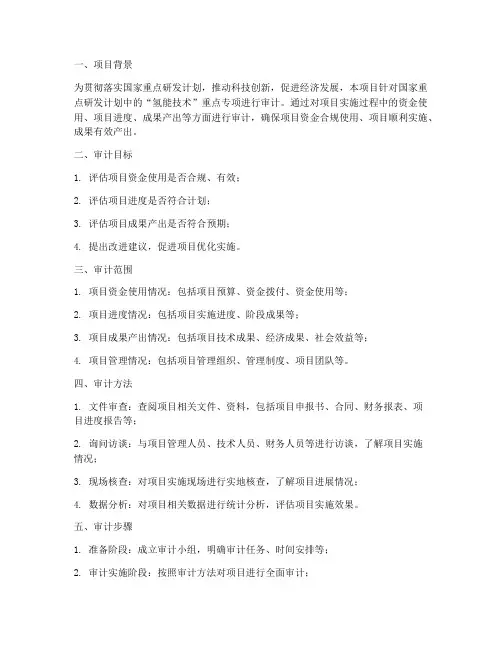 重点专项审计实施方案