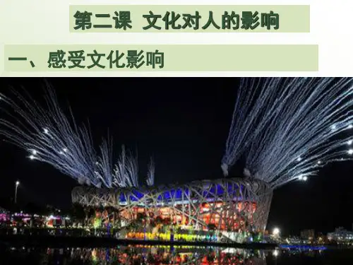 2_1《感受文化影响》导学案