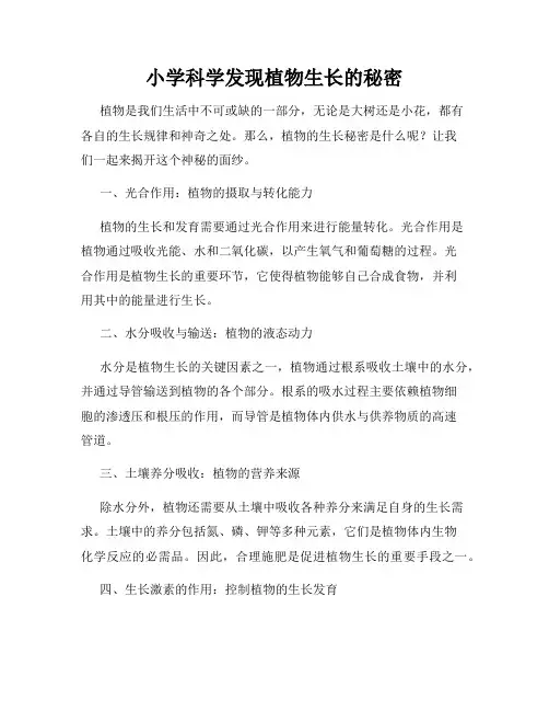 小学科学发现植物生长的秘密