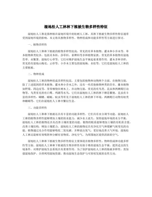 湿地松人工林林下植被生物多样性特征