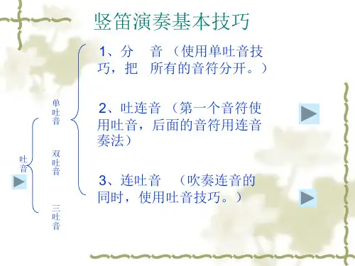 竖笛演奏基本技巧ppt课件