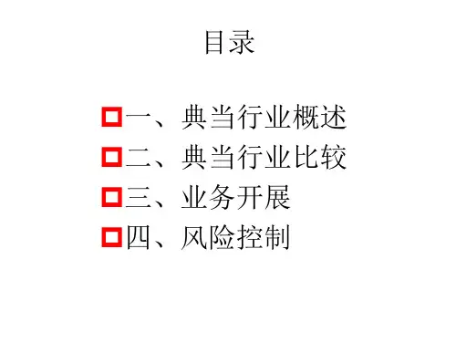 典当行业分析27页PPT