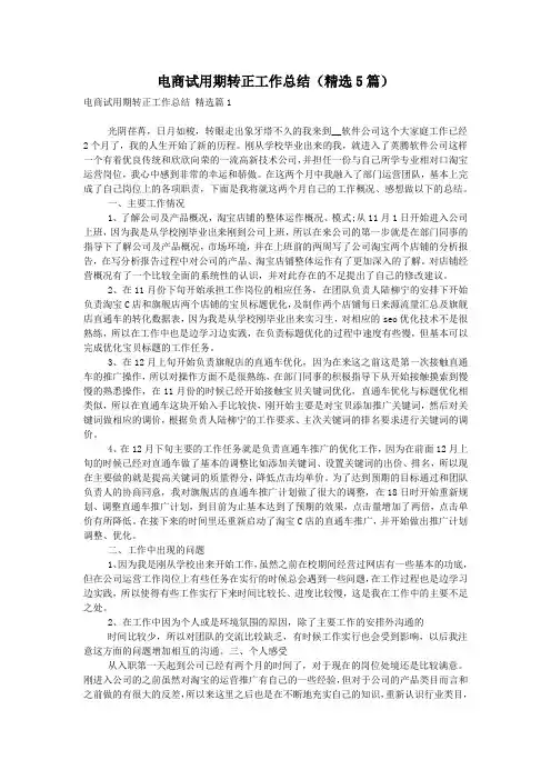 电商试用期转正工作总结(精选5篇)