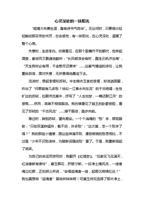 初一作文：心灵深处的一抹阳光作文800字