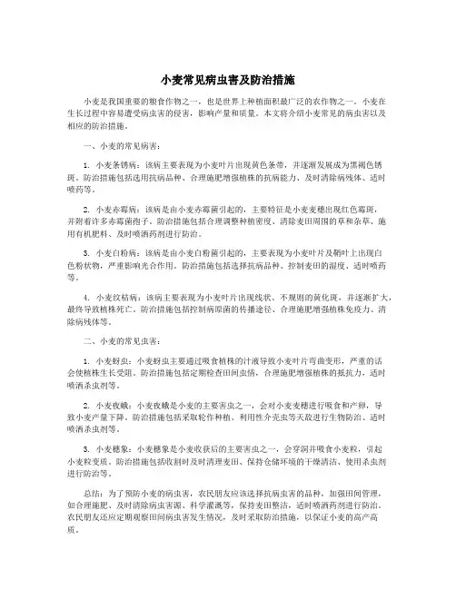 小麦常见病虫害及防治措施