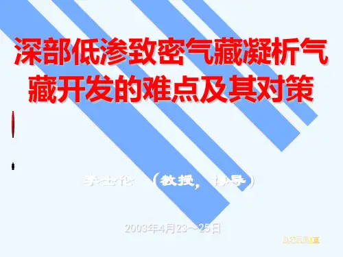 深部低渗致密气藏凝析气藏开发的难点及其对策1