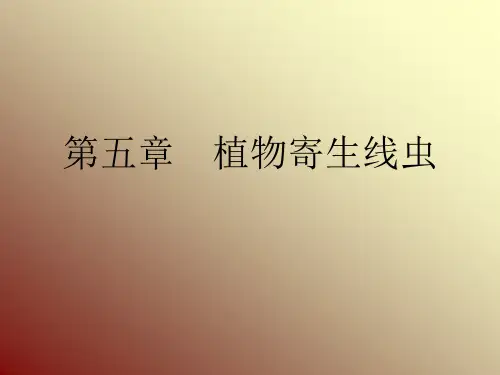 植物寄生线虫