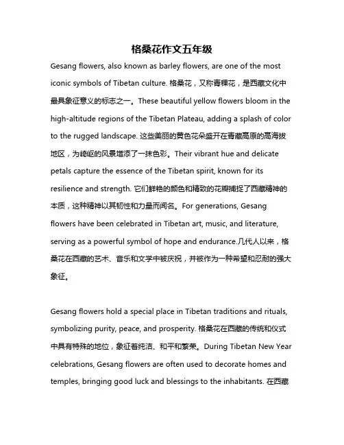 格桑花作文五年级