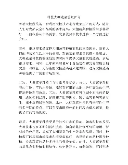 种植大棚蔬菜前景如何