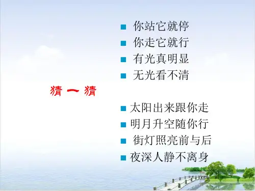 课件《投影》优秀课件完美版_人教版1