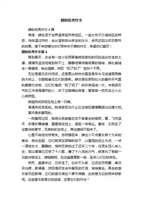 蝉的优秀作文