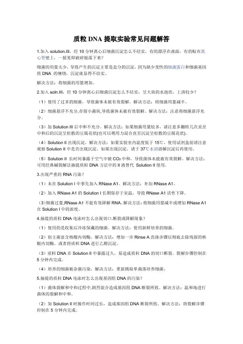 质粒DNA提取实验常见问题解答