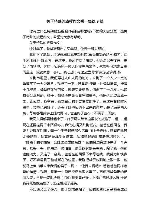 关于特殊的旅程作文初一集锦5篇