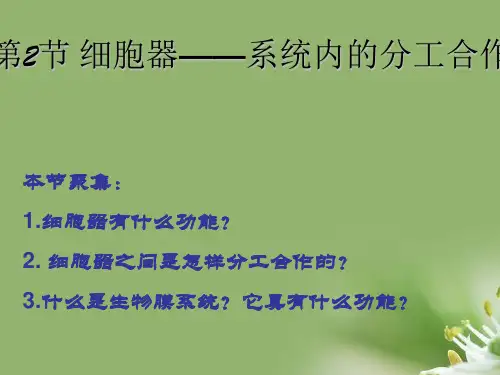 细胞器——系统内的分工合作 57张ppt精选教学PPT课件