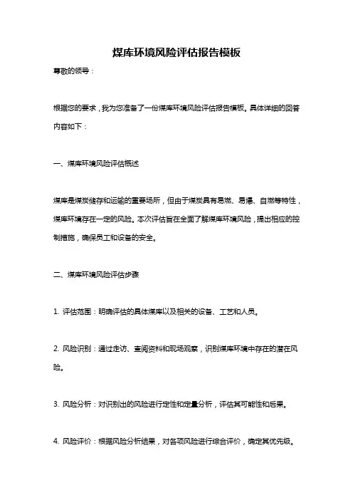 煤库环境风险评估报告模板