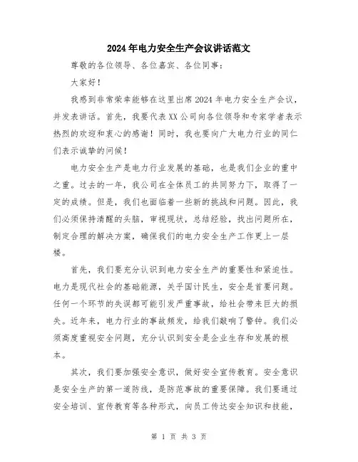 2024年电力安全生产会议讲话范文