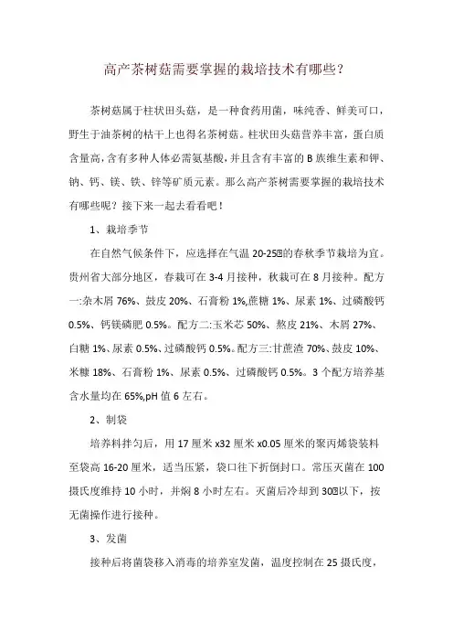 高产茶树菇需要掌握的栽培技术有哪些？