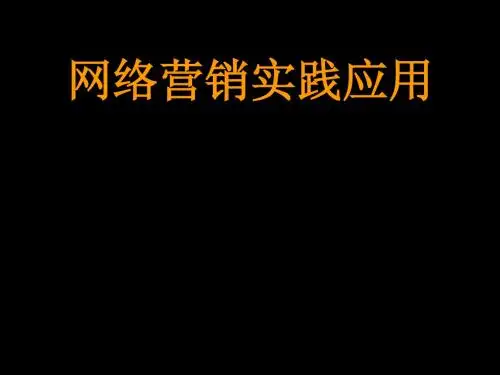 网络营销实践应用(ppt49张)