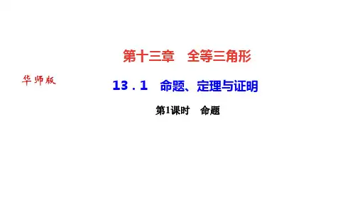 华师版八年级数学上册作业课件(HS)第十三章 全等三角形 命题、定理与证明 第1课时 命题
