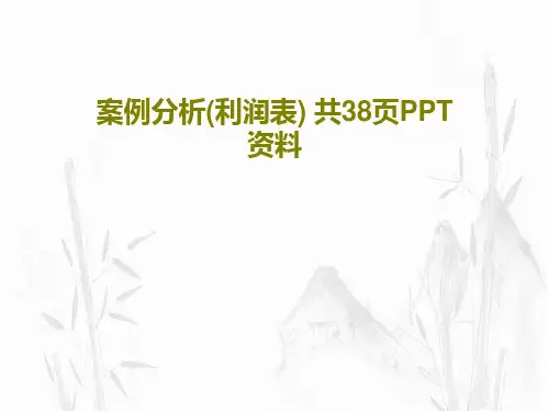 案例分析(利润表) 共38页PPT资料共40页