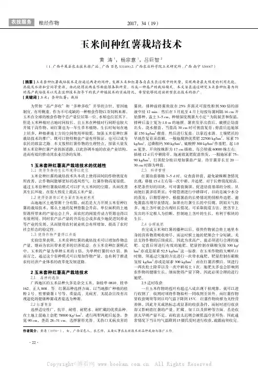 玉米间种红薯栽培技术