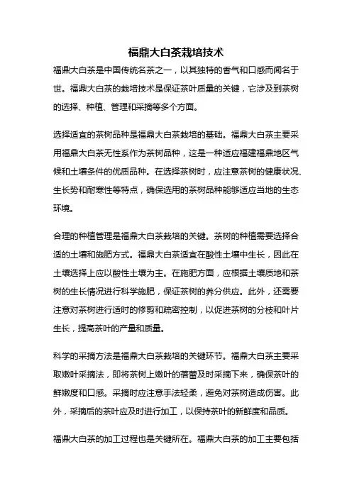 福鼎大白茶栽培技术
