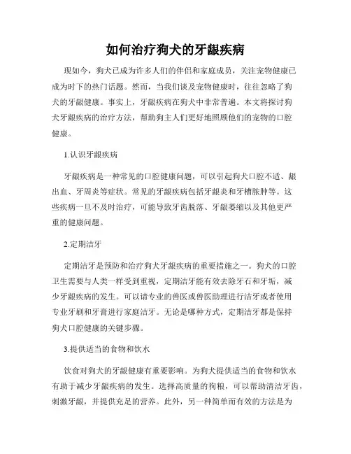 如何治疗狗犬的牙龈疾病