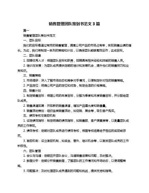 销售管理团队策划书范文3篇