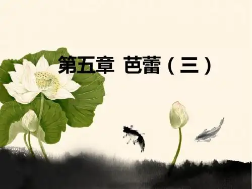外国舞蹈史  第五章