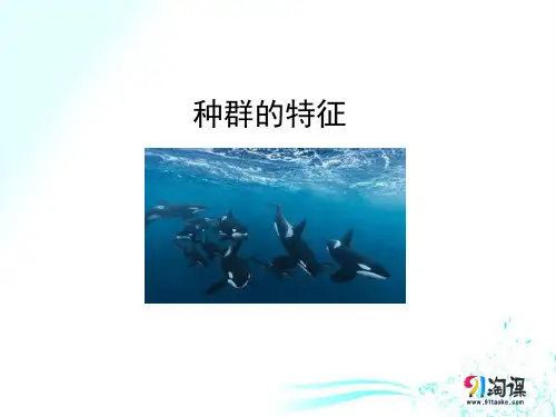 课件15：4.1 种群的特征