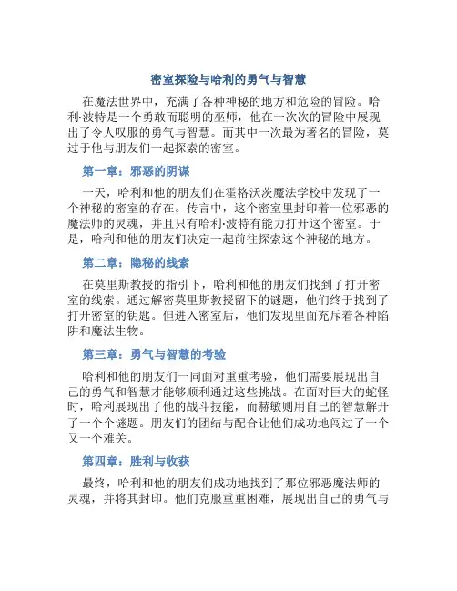 密室探险与哈利的勇气与智慧 (2)
