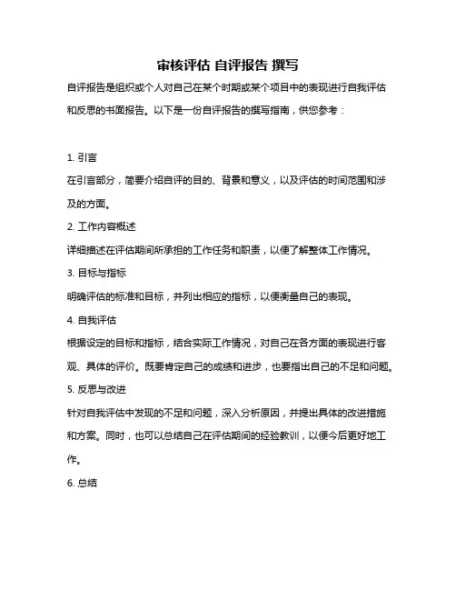 审核评估 自评报告 撰写