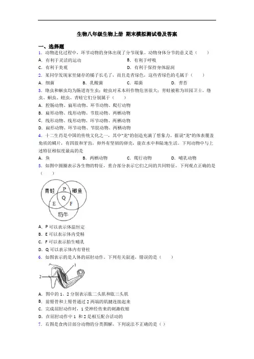 生物八年级生物上册 期末模拟测试卷及答案