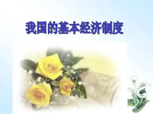 我国的基本经济制度