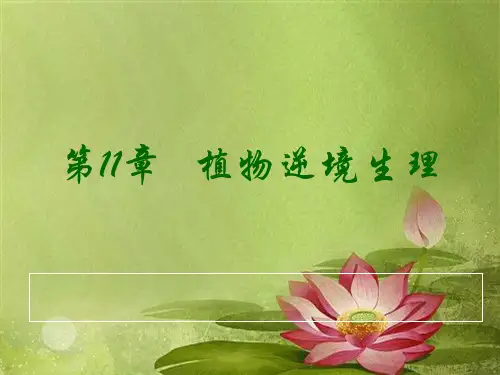 11_植物抗性生理.ppt