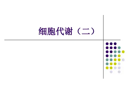 高中生物细胞代谢二
