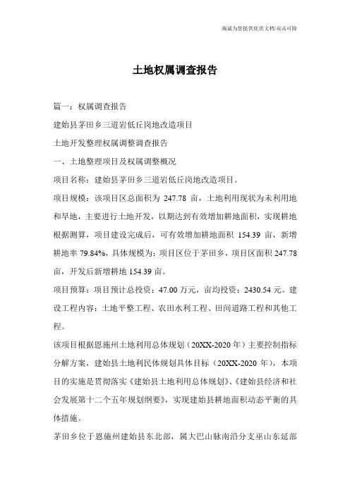 土地权属调查报告