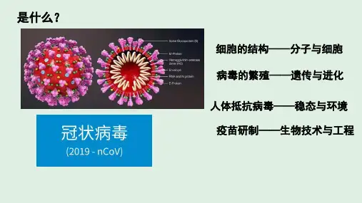 水和无机盐是构成细胞的重要无机物课件-高一上学期生物浙科版必修1