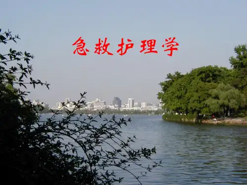 急救护理学重症监护 全套课件40页