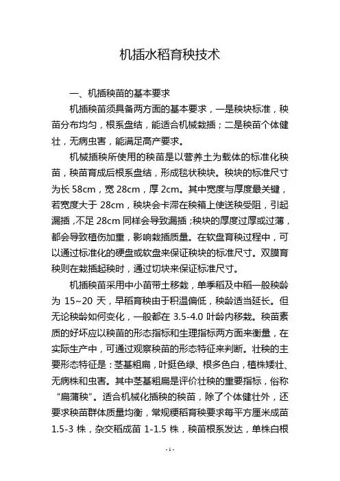 机插水稻育秧技术