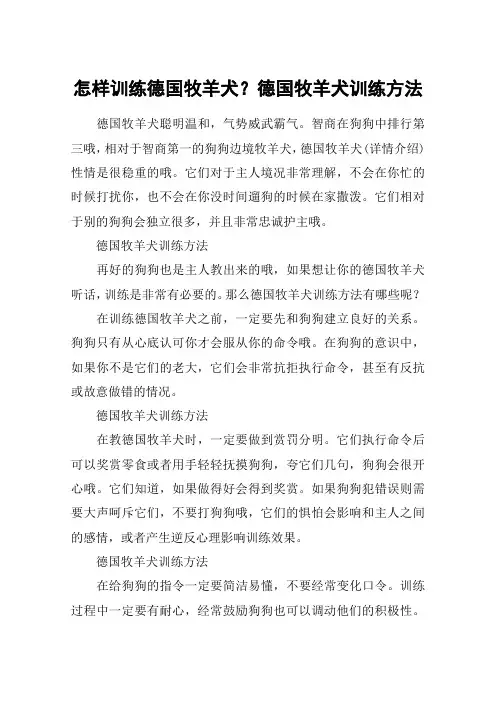 怎样训练德国牧羊犬？德国牧羊犬训练方法