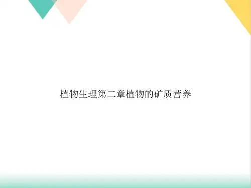 植物生理第二章植物的矿质营养PPT.