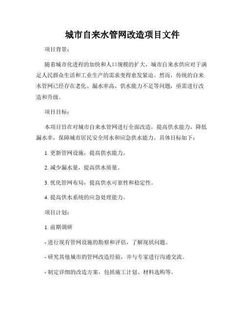 城市自来水管网改造项目文件
